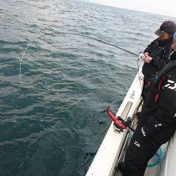 Fisherman Dreams DI 釣果