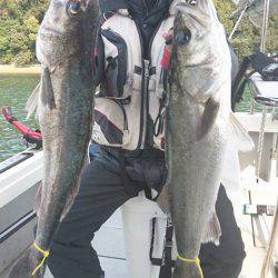 Fisherman Dreams DI 釣果