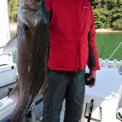 Fisherman Dreams DI 釣果