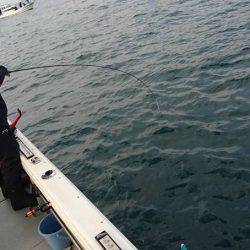 Fisherman Dreams DI 釣果