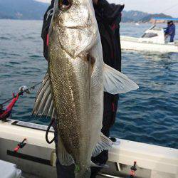 Fisherman Dreams DI 釣果