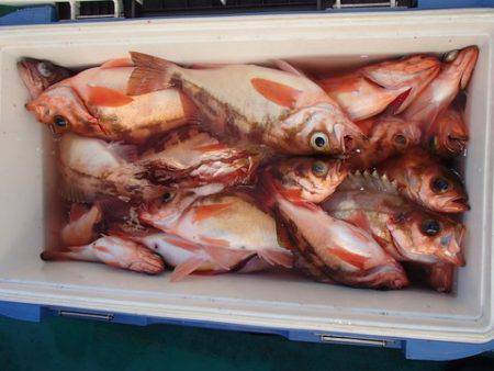 第二むつ漁丸 釣果