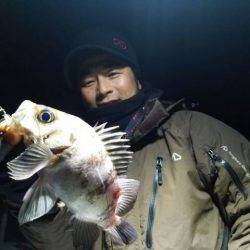 Magic（マジック） 釣果