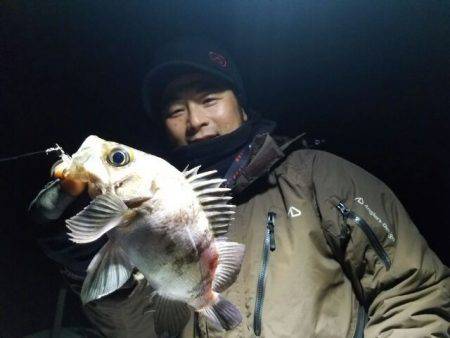 Magic（マジック） 釣果