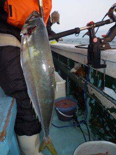松福丸 釣果