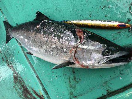 広進丸 釣果