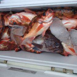 第二むつ漁丸 釣果