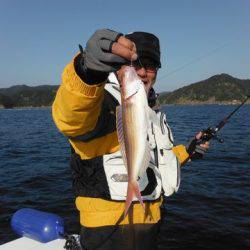 開進丸 釣果