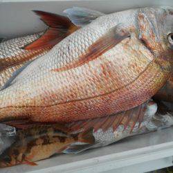 こうゆう丸 釣果