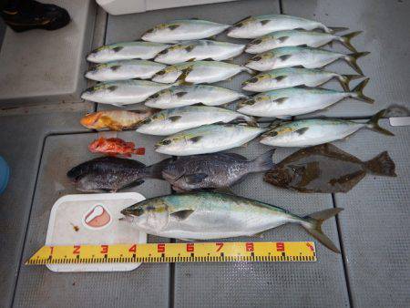 sea boss　シーボス 釣果