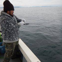 sea boss　シーボス 釣果