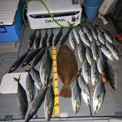 sea boss　シーボス 釣果