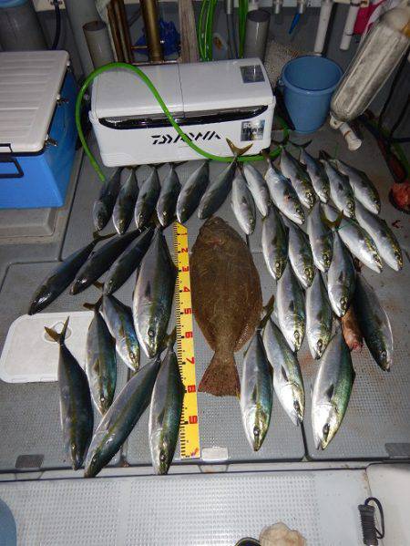 sea boss　シーボス 釣果