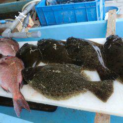 松名瀬フィッシングパーク 釣果