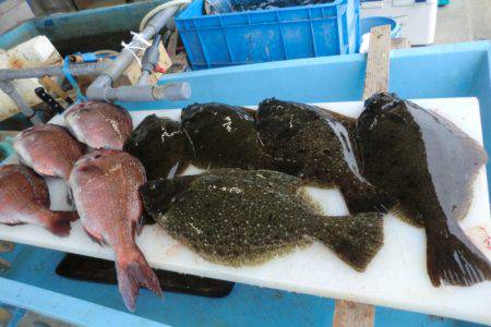 松名瀬フィッシングパーク 釣果