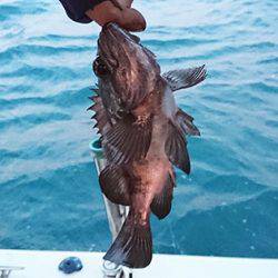 松本釣船2 釣果