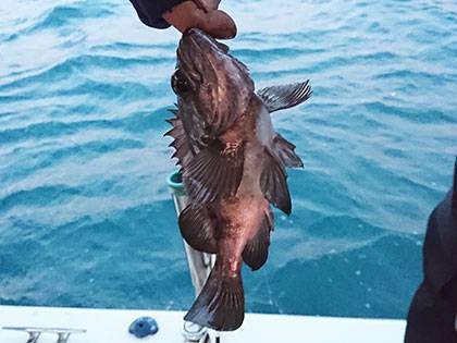 松本釣船２ 釣果