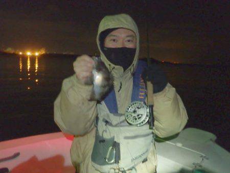 ルアー船マヒマヒ 釣果