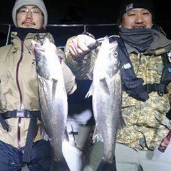 フルコンタクト 釣果