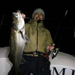 フルコンタクト 釣果