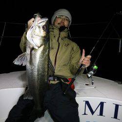 フルコンタクト 釣果