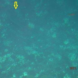 松名瀬フィッシングパーク 釣果