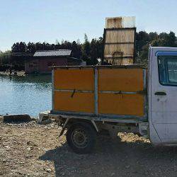 みどりフィッシングエリア 釣果