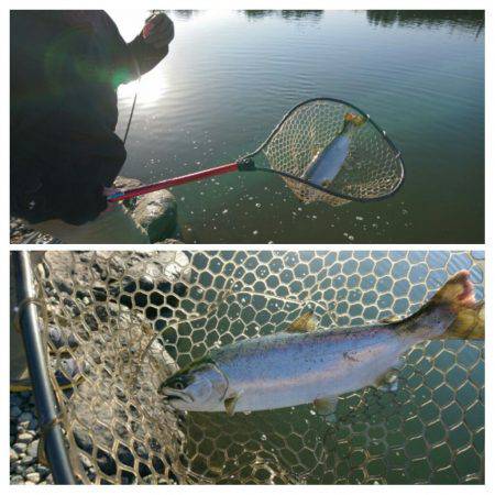 みどりフィッシングエリア 釣果