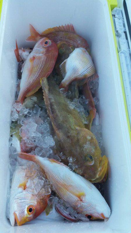 天童丸 釣果