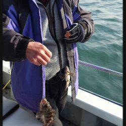 内浜丸 釣果