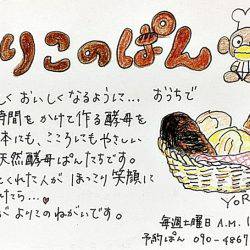 松名瀬フィッシングパーク 釣果