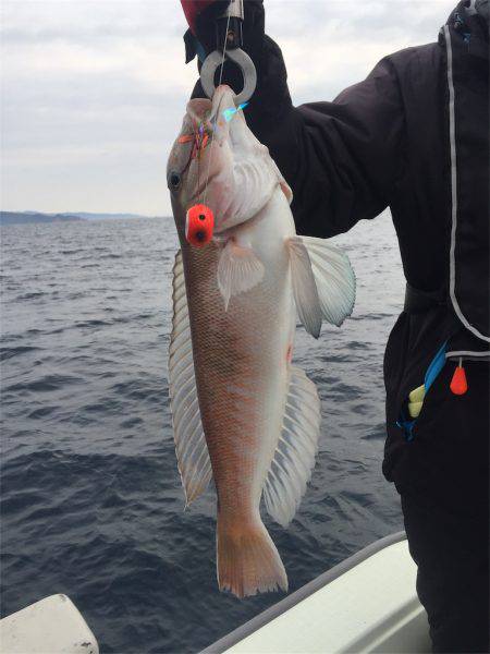 マタウマリンサービス 釣果