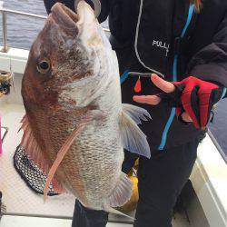 マタウマリンサービス 釣果