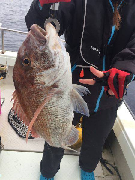 マタウマリンサービス 釣果