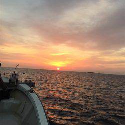 マタウマリンサービス 釣果