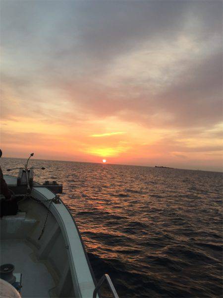 マタウマリンサービス 釣果