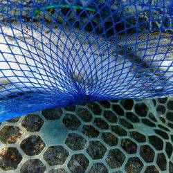 みどりフィッシングエリア 釣果