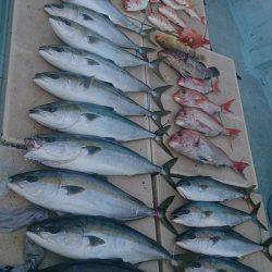 旭星釣りセンター 釣果