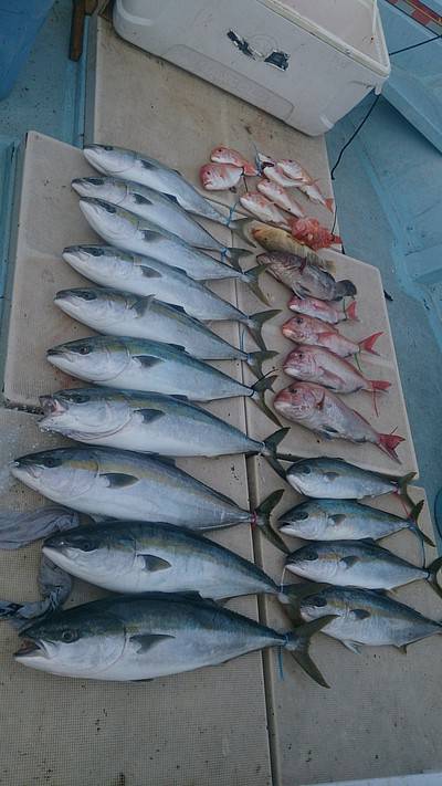 旭星釣りセンター 釣果