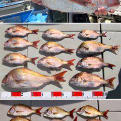 来温丸(らいおんまる) 釣果