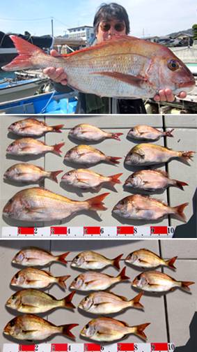 来温丸（らいおんまる） 釣果