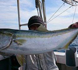 海龍丸(福岡) 釣果