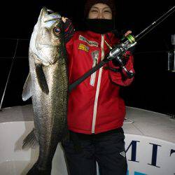 フルコンタクト 釣果