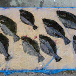 フィッシングパーク錦 釣果