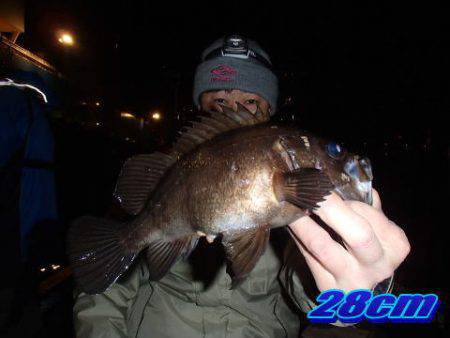 オーシャンマスター 釣果