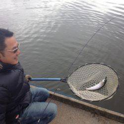 吉羽園 釣果