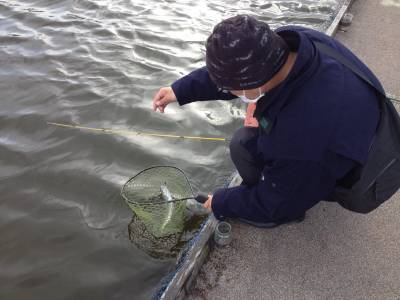 吉羽園 釣果