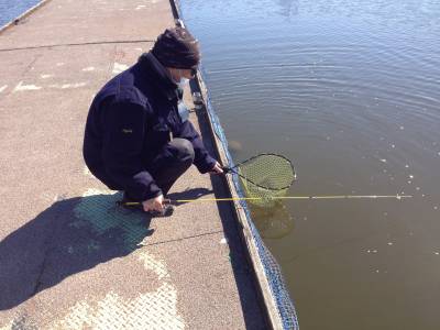 吉羽園 釣果