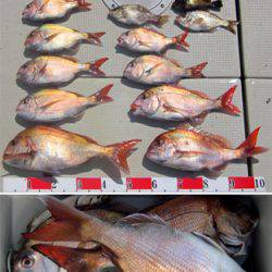 来温丸（らいおんまる） 釣果