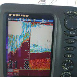 松本釣船２ 釣果